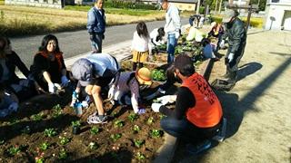 オレンジ色のベストを着た男性がしゃがんで指導を受けながら、花壇に花を植えている参加者の親子の写真