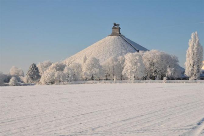 草原や木に真っ白な雪が降り積もっている奥にライオン像の丘が写っている冬景色の写真