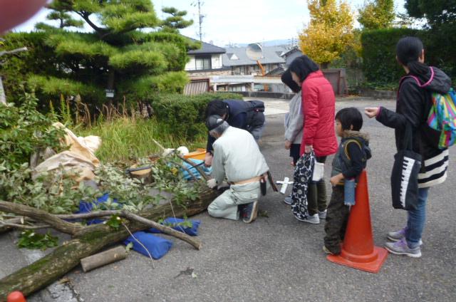 庭で倒れた木を作業服姿の男性が押さえ、参加者がのこぎりで木を切っている様子を他の参加者たちが並んで見ている写真