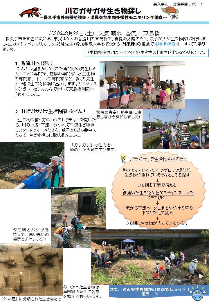 川でガサガサ生き物探しのチラシ1枚目