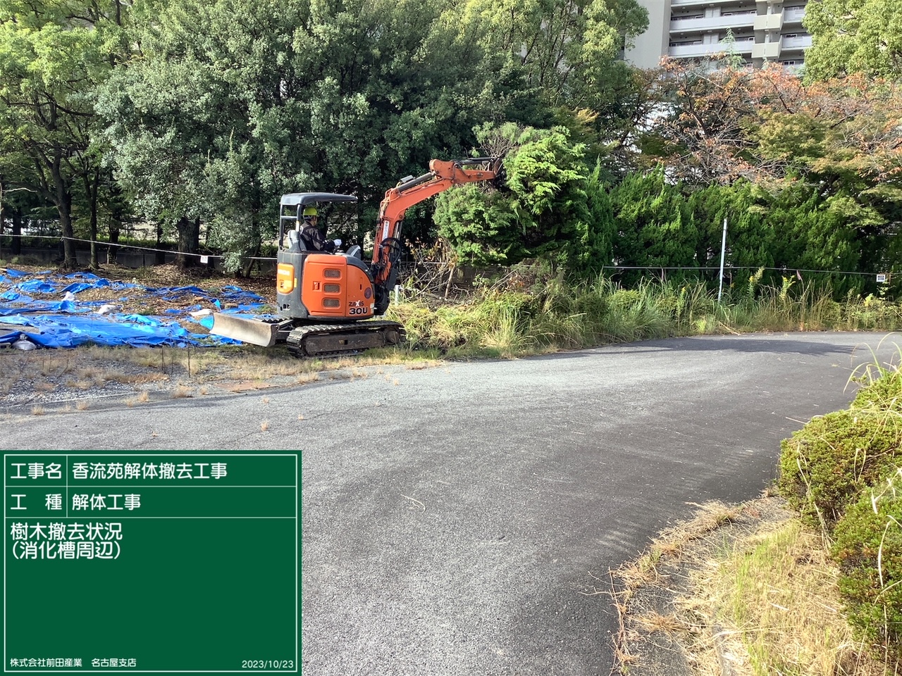 樹木撤去3