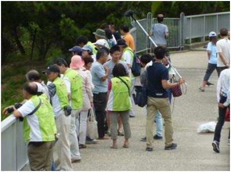 杁ヶ池で観察している参加者の人達の写真
