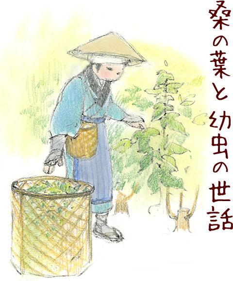 桑の葉と幼虫の世話