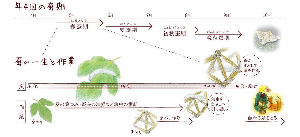 年4回の蚕期、蚕の一生と作業