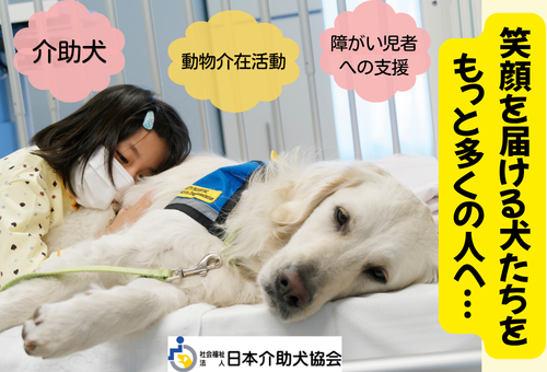 介助犬協会GCF