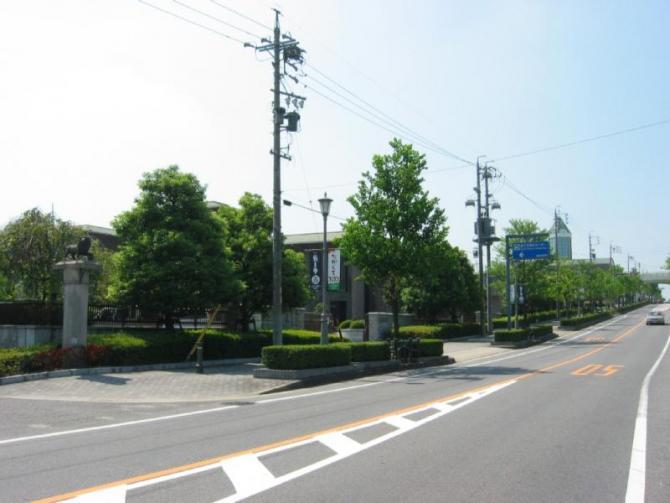 道路沿いに植えられた街路樹の緑が美しい通りの写真