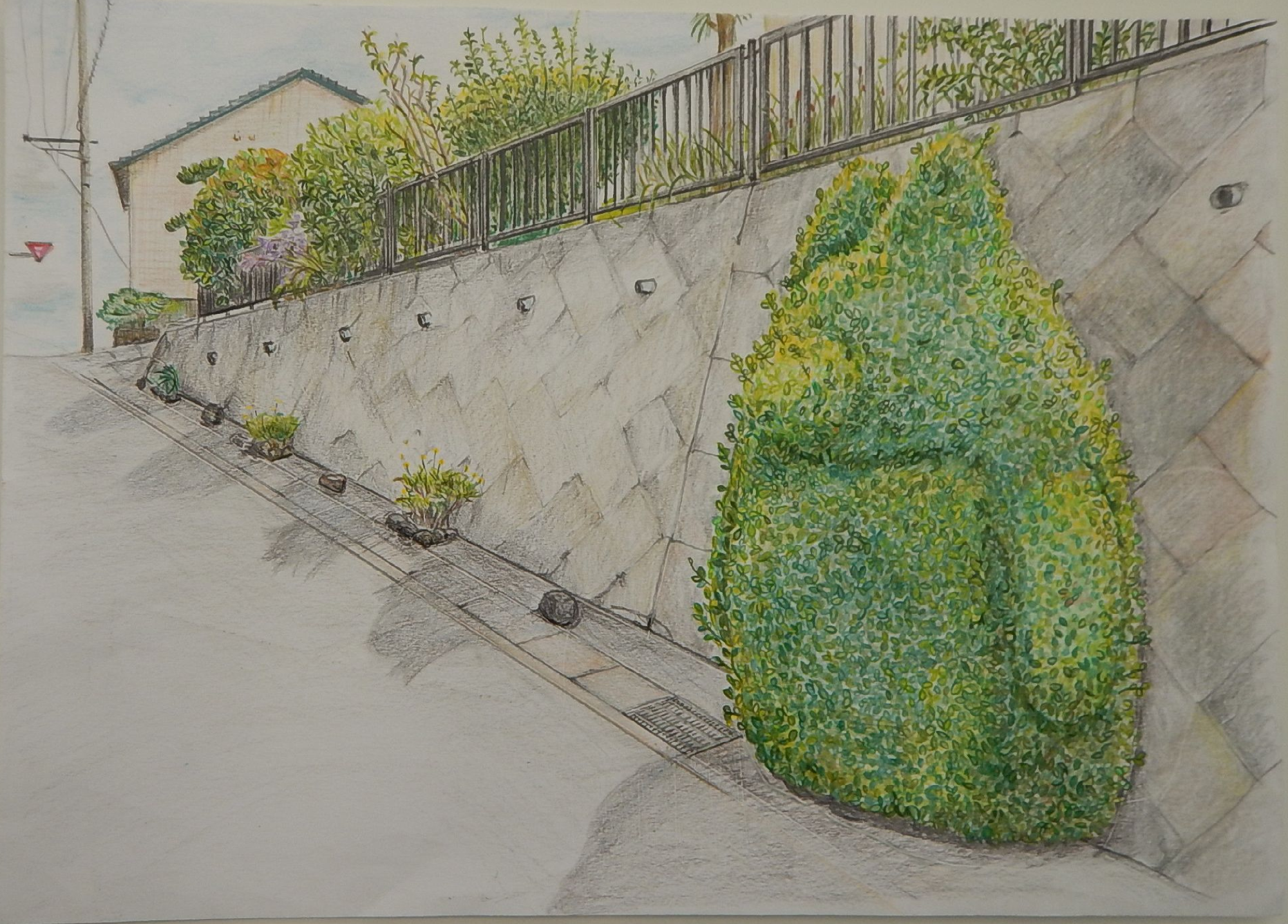 トトロのいる坂道