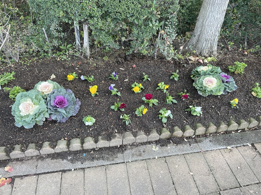 くすのき広場