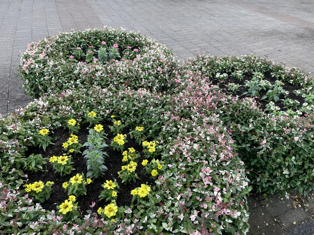 くすのき広場