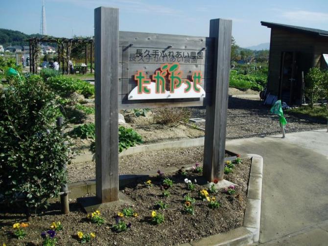 花壇に黄色い小さな花が植えられており、「たがやっせ」と書かれた木札が建っている写真