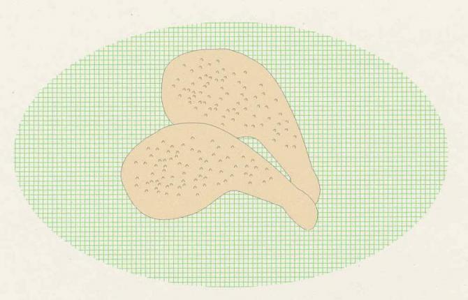 2つの骨付き鶏肉のイラスト