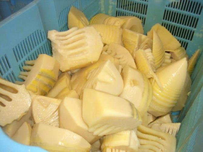 大きな水色のかごに、大きくカットされたたけのこが大量に入っている写真