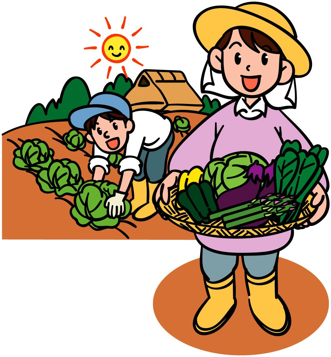 沢山の野菜が入った籠を持っている女性と畑でキャベツの収穫をしている男性のイラスト