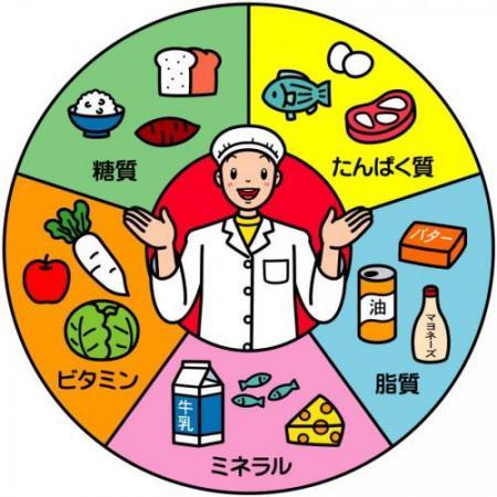 たんぱく質、脂質、ミネラル、ビタミン、糖質の栄養素のイラスト