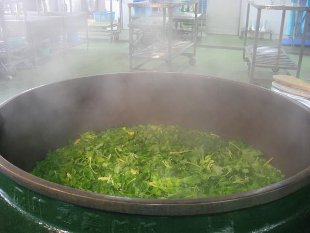 大きな釜の中で、大量のセロリーの葉を茹でている写真