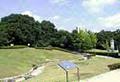 小高い丘に沿って樹木が植栽されている公園敷地内の写真