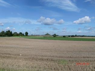 青い空に浮かぶ雲と一面に広がる麦畑の写真