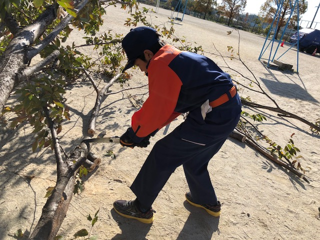 校庭でのこぎりを使って木を切っている(倒木除去訓練)キッズ消防団員のアップ写真