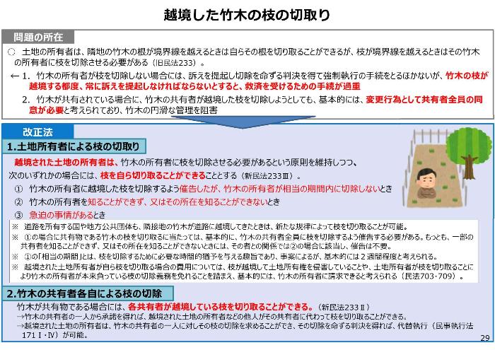 越境した竹木の枝の切り方