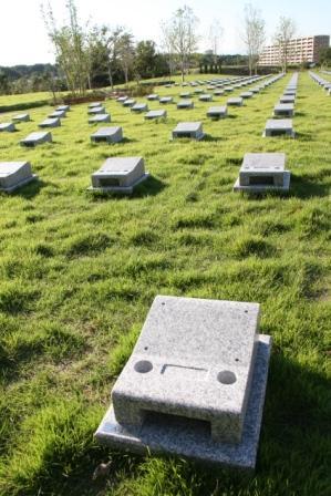 広い芝生の上に墓石がある芝生墓所の写真