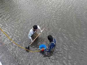 池の土をとっている様子