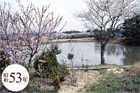 昭和53年頃の仏ヶ根池