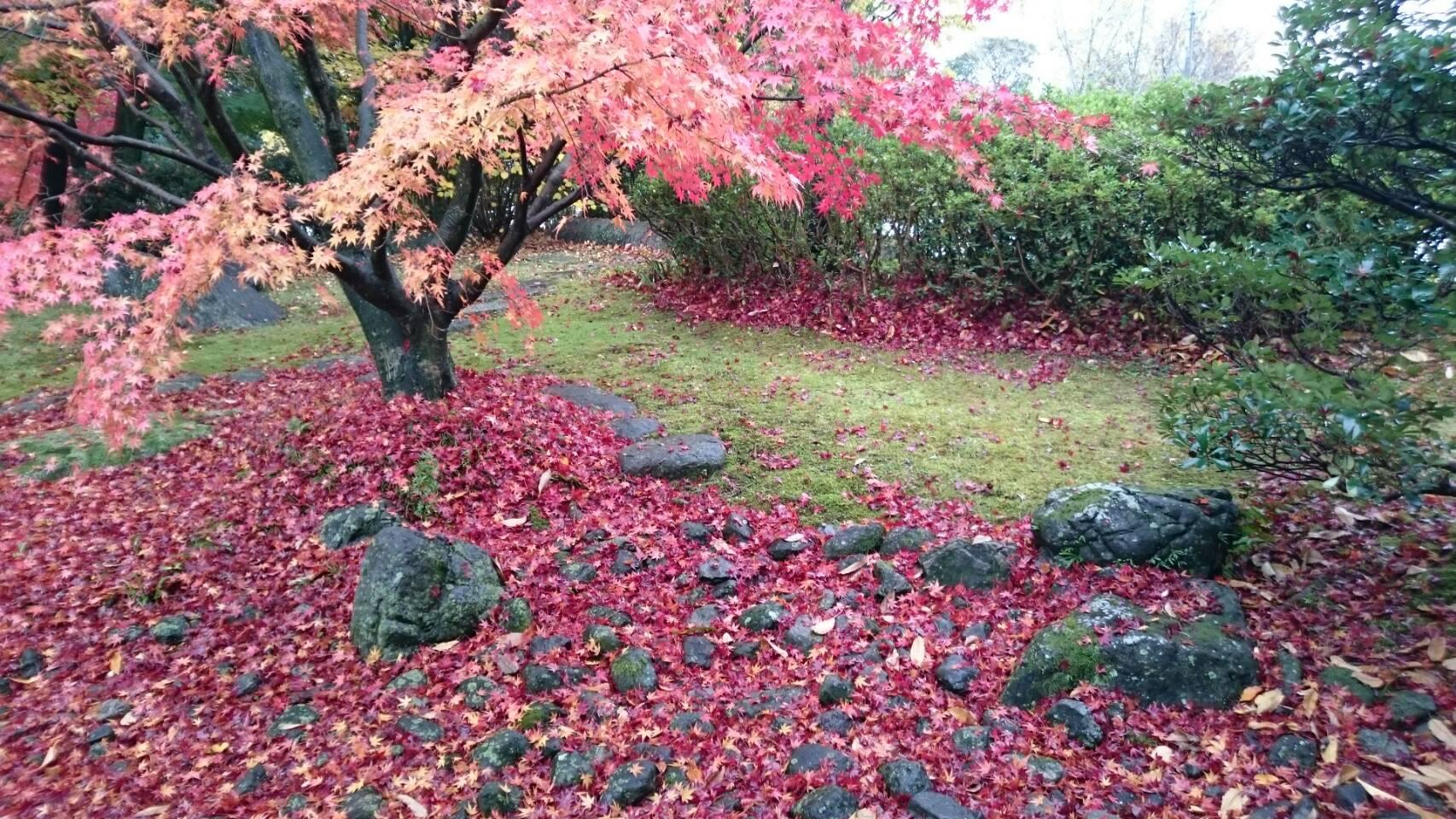 色金山の庭園に紅葉の錦が広がっている写真