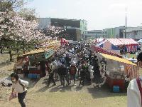 kosennjosakuramatsuri1