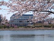 手前に桜の花と池が写っている奥に杁ケ池体育館が写っている写真