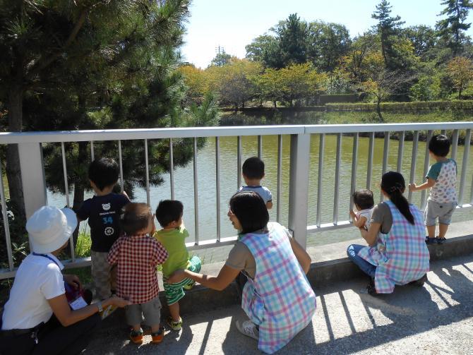 橋の上の柵の間から川を眺めている保育士と子供たちの写真