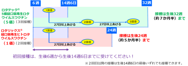 ロタ接種スケジュール
