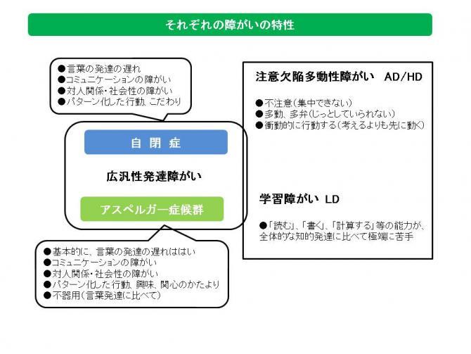 それぞれの障がいの特性の説明資料