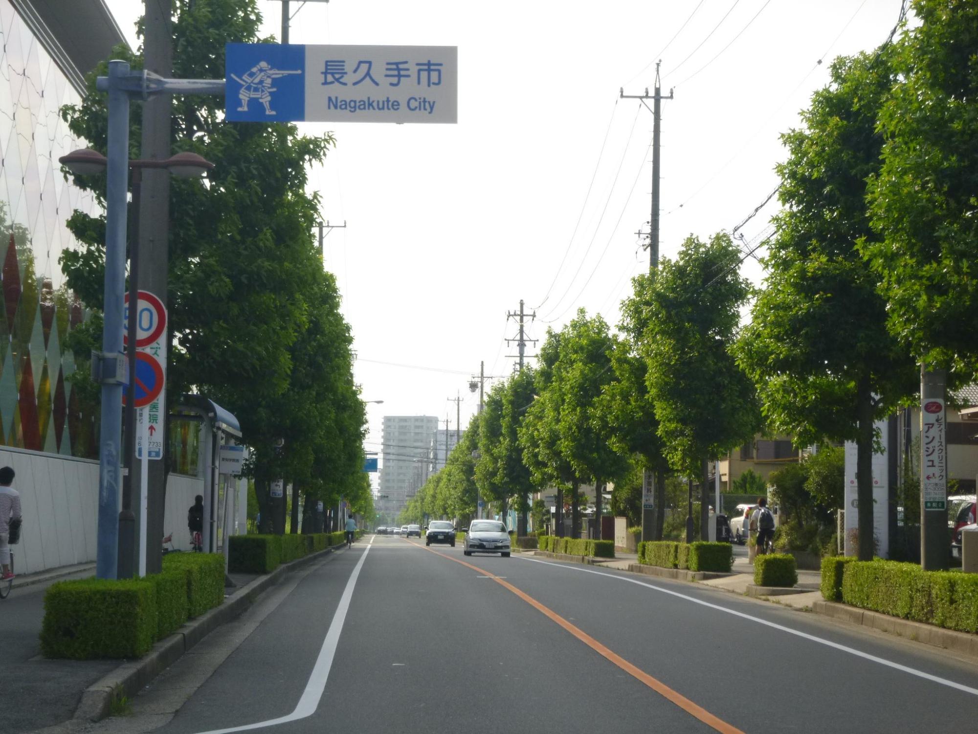 長久手市の案内板の先に緑に生い茂ったアメリカフウの下にボックスウッドが植えられている通りの写真