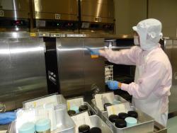 配膳用のコンテナにアレルギー食の食缶を納めている調理師の写真