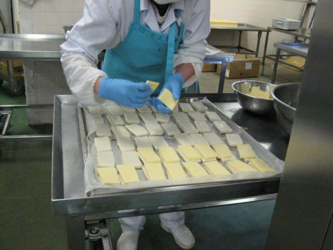 白色の作業着に水色のエプロンを着用したスタッフが、大きなトレーにはんぺんを並べて一枚ずつチーズを乗せている写真