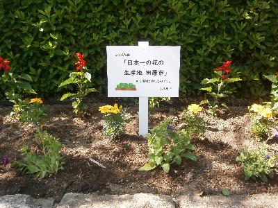 田原市様からお花の寄附をいただきました。