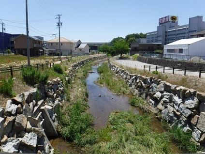 基本方針6